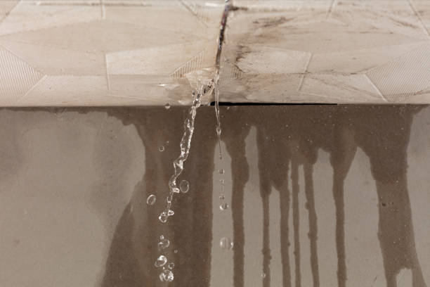 Professional Commercial Water Damage Restoration technician working in Carlisle, IA